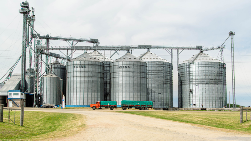 Aldo Vendramin apresenta os benefícios dos silos automatizados para quem busca agilidade e eficiência no agronegócio.